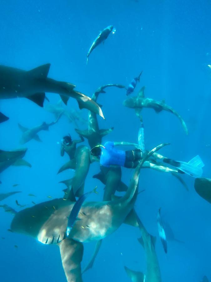 Reef Edge Thulusdhoo, Maldives Exterior foto